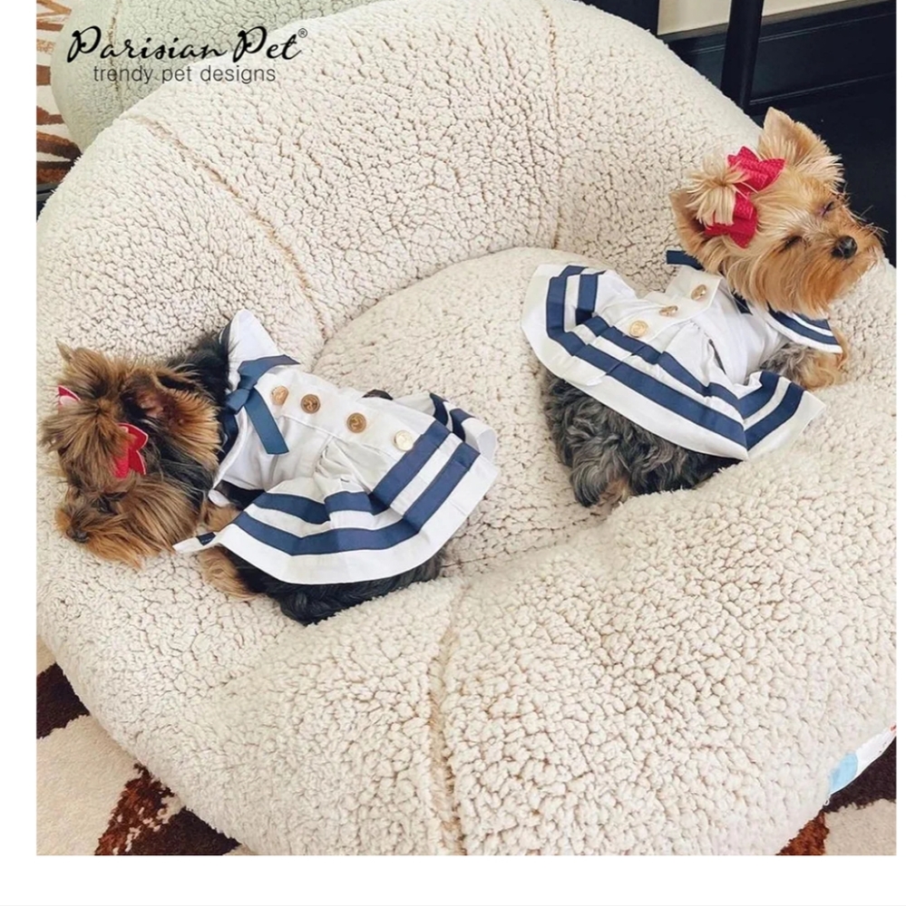 Parisian pet sailor dog dress. White blue gold medium or large.  New - Picture 11 of 12